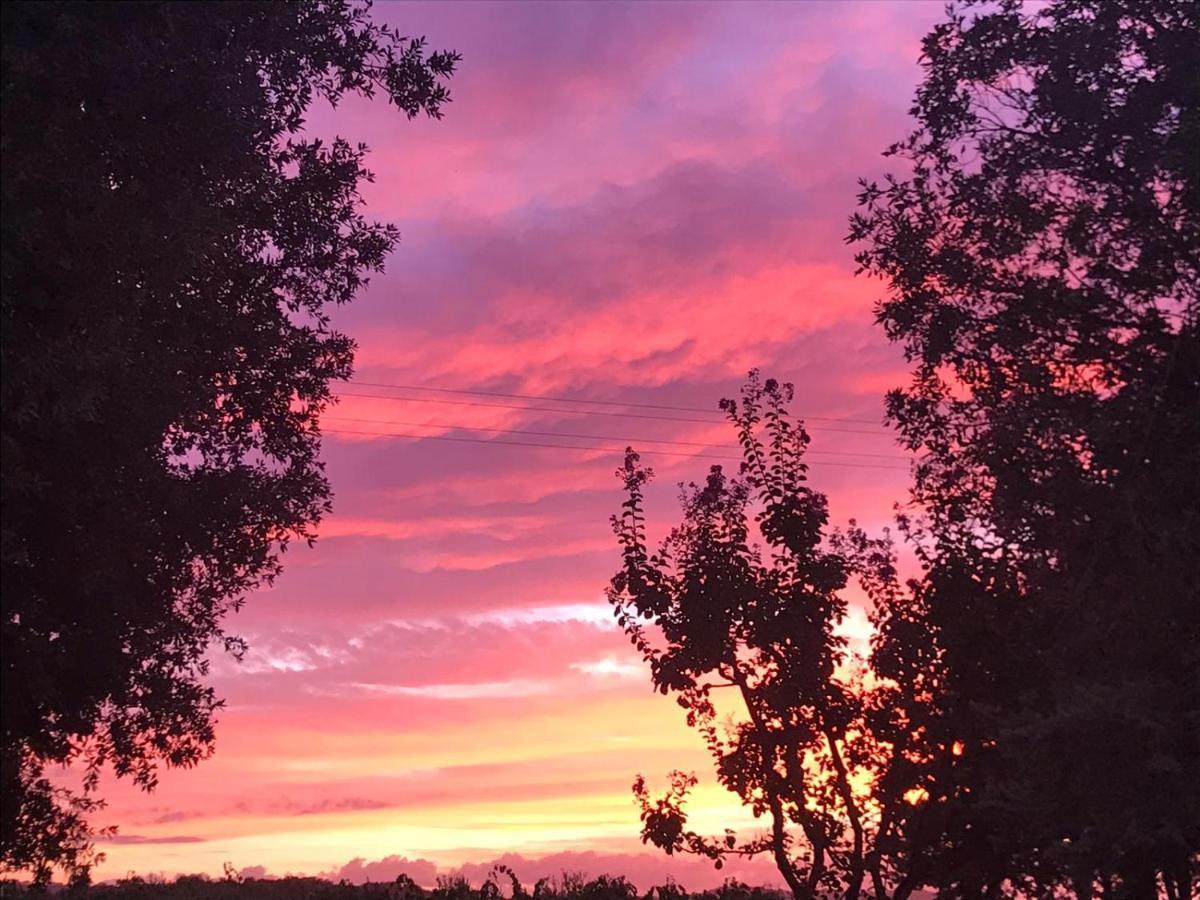 Il Podere Di Sole Roccastrada Dış mekan fotoğraf
