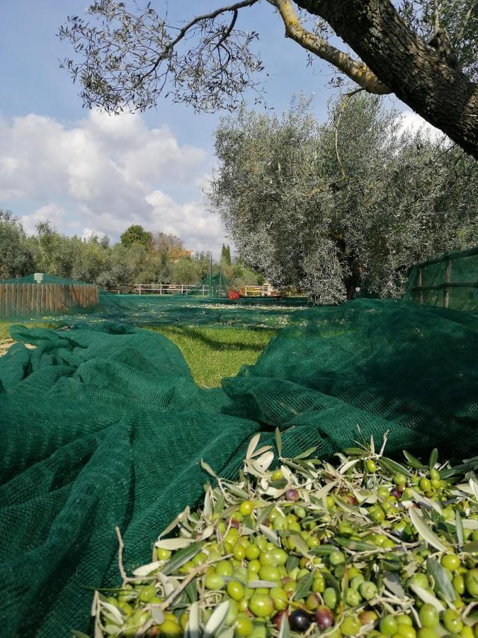 Il Podere Di Sole Roccastrada Dış mekan fotoğraf