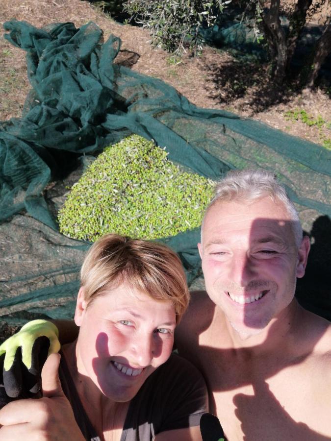 Il Podere Di Sole Roccastrada Dış mekan fotoğraf