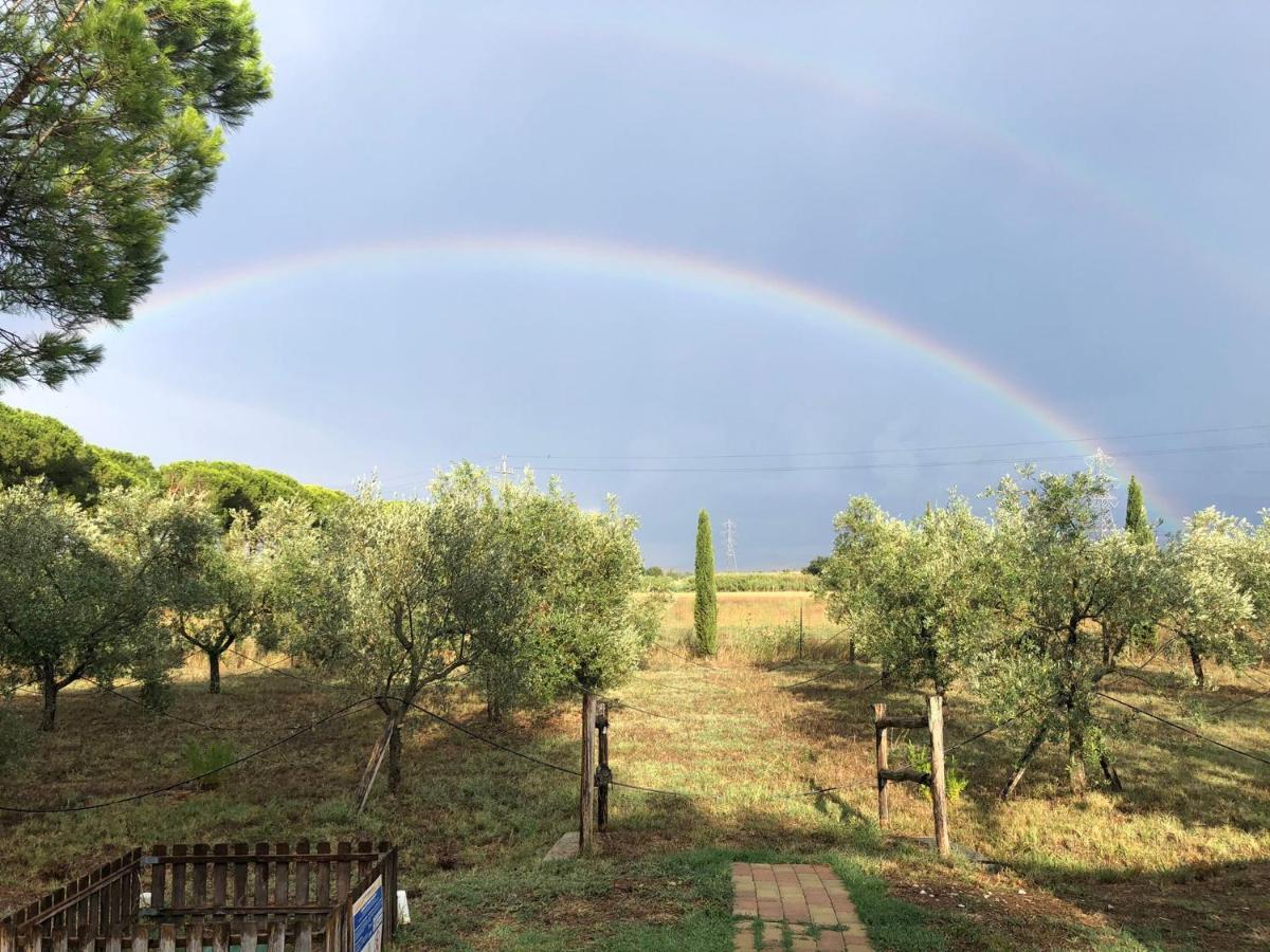 Il Podere Di Sole Roccastrada Dış mekan fotoğraf